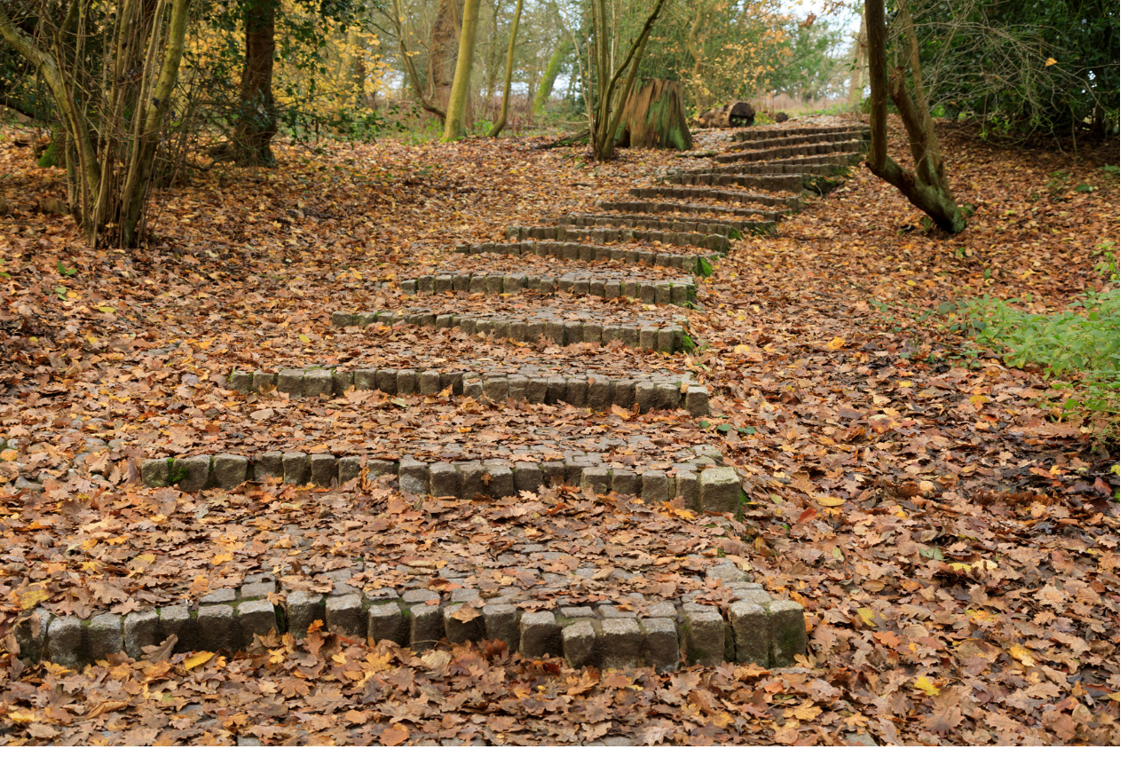 Steps and autumn leaves in Ankerwycke, Surrey.