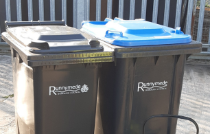 Runnymede bins